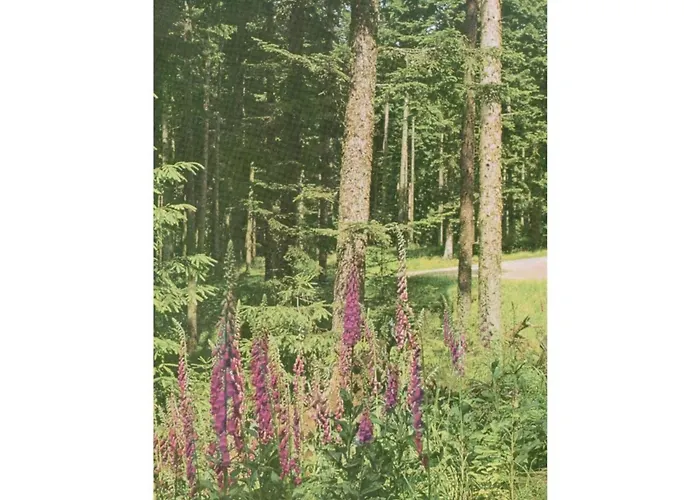 Margarete Finner 1 Comfortable * Titisee-Neustadt